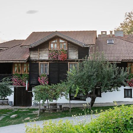 Miykovtsi 坎达福瑞旅馆酒店 外观 照片
